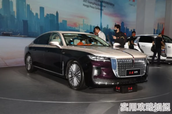寡妇大J8又粗又大：深入分析该车型的设计特点及其在市场上的独特定位与用户反馈