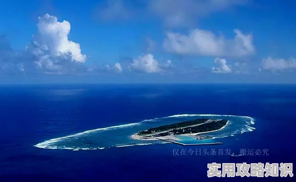 探究和平精英游戏中自由的鲸皮肤价格：具体多少钱一个？