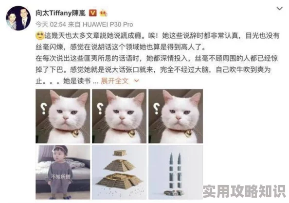 Free张柏芝XXXXHD：最新动态与精彩瞬间全记录，粉丝们不容错过的视觉盛宴！