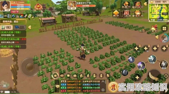 热血江湖中：探究武功攻击与防御能力，哪个更胜一筹？
