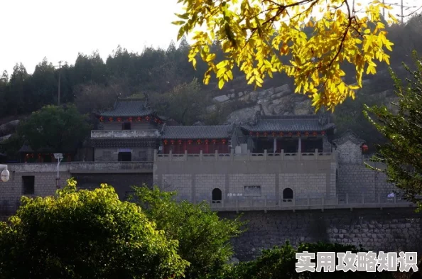 清风阁黄色电影引发全民关注，震惊内幕曝光，背后真相令人咋舌！