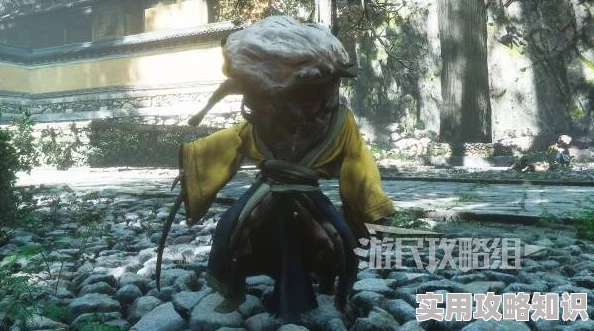 揭秘黑神话悟空中的小呱呱：影神图详解与小呱呱全图鉴欣赏