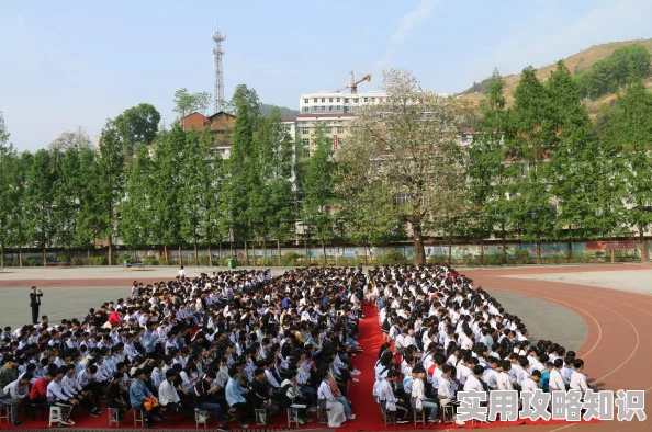 放学后别来办公室有副CP吗：这句话引发了对校园生活和师生关系的思考，是否存在超越友谊的情感联系