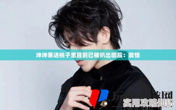 坤坤寒进桃子里嗟嗟韩国，惊天内幕揭晓：他竟然与神秘巨头合作震撼中韩娱乐圈！